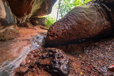 naka cave thailand|Naka Cave Thailand Ultimate Guide: All You Need To。